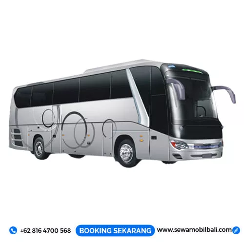 Sewa Mobil Bali Murah Untuk Bus Pariwisata atau Sewa Bus Bali 29 Seat