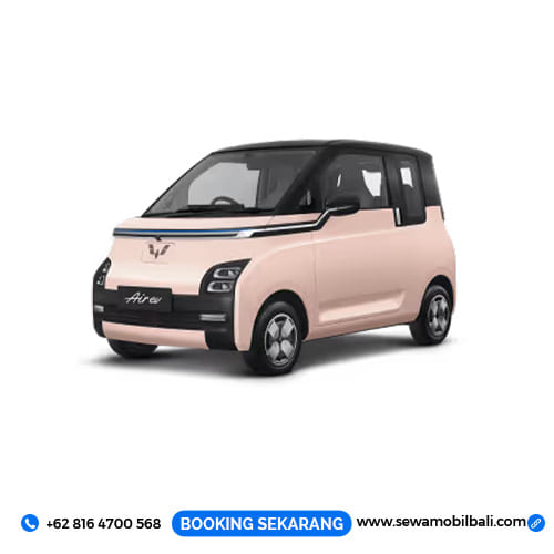 Sewa Mobil Listrik Bali Murah Lepas Kunci Tipe Mobil Rental Wulling Air EV