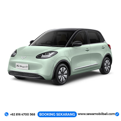 Sewa Mobil Listrik Bali Murah Lepas Kunci Tipe Mobil Rental Wulling Binguo EV